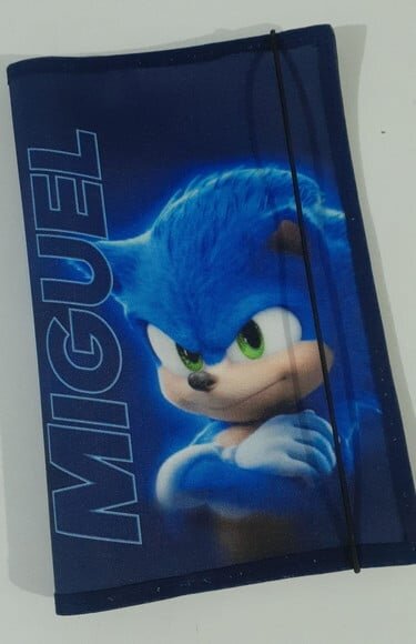 Capa para caderneta de vacinação - sonic