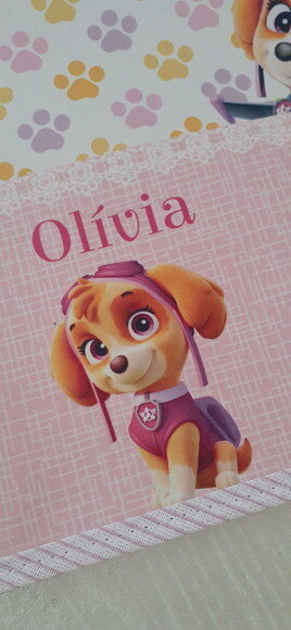 Jogo americano infantil patrulha canina
