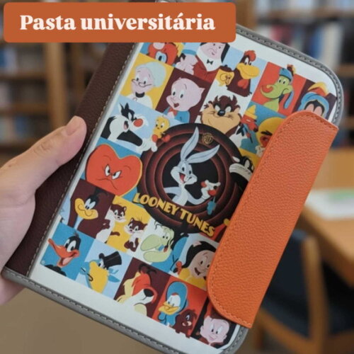 Pasta Organizadora Looney Tunes