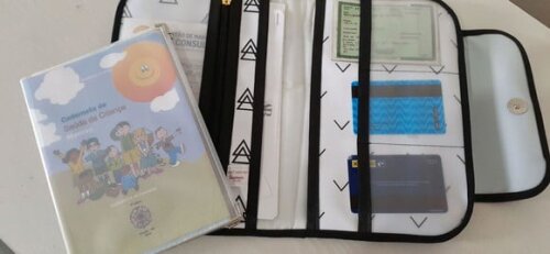 PORTA DOCUMENTOS - Dinossauro