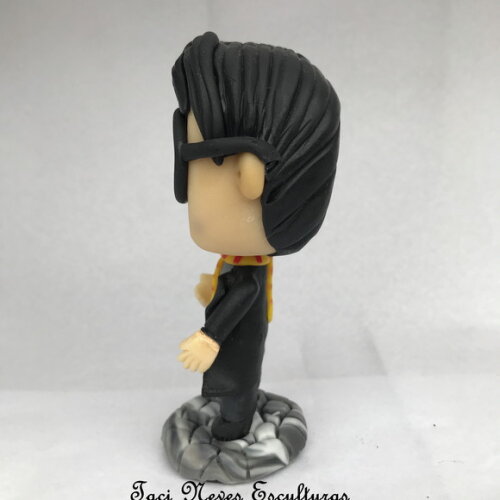 Funko pop Harry Potter