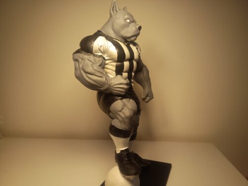 Mascote do Botafogo