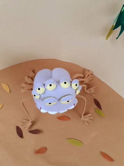 Aranha Popô