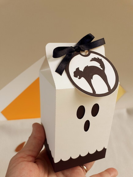 Caixa Milk Gato Halloween