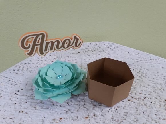 Caixa sextavada suculentas de papel Amor