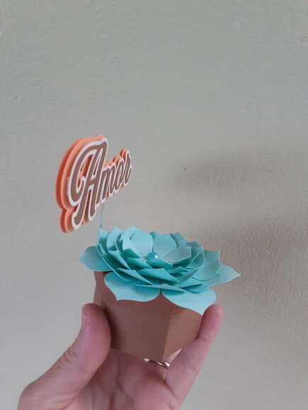 Caixas Sextavadas Suculentas de Papel