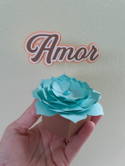 Caixas Sextavadas Suculentas de Papel