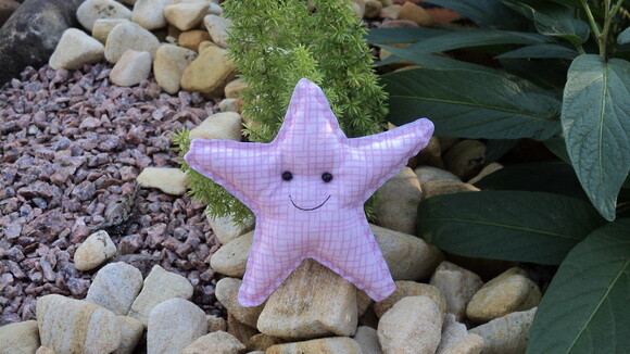 Ímã Estrelinha do mar