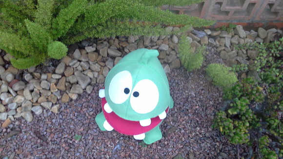 Om Nom de Feltro