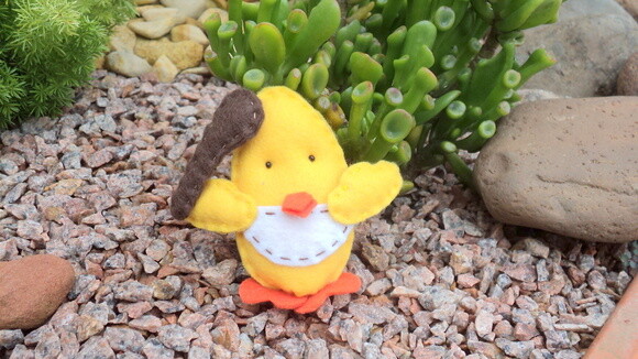 Pintinhos na Caixa de Ovos