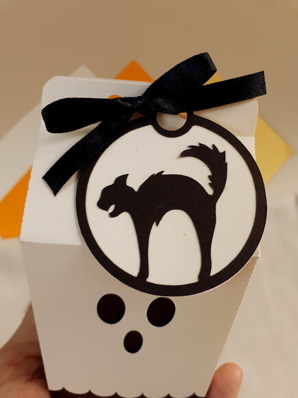 Caixa Milk Gato Halloween