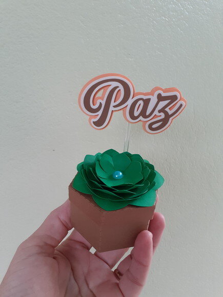 Caixa Sextavada Suculentas de Papel Paz