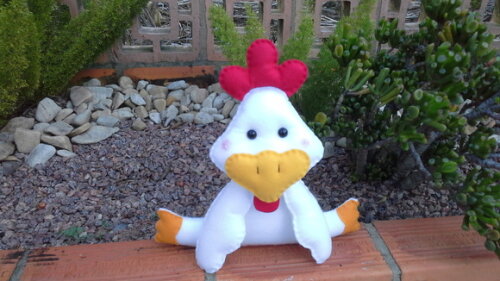 Galo de Feltro