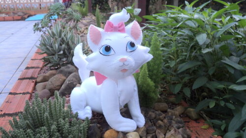 Gatinha Marie