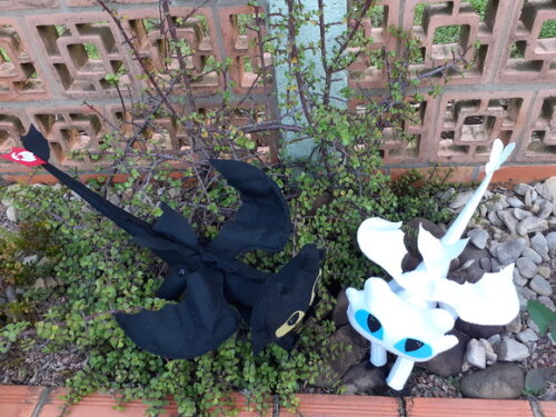 Kit Como Treinar Seu Dragão 4 Peças