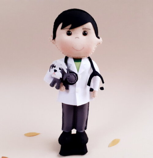 Medico Veterinário Feltro