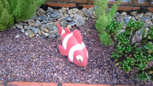 Nemo em Feltro