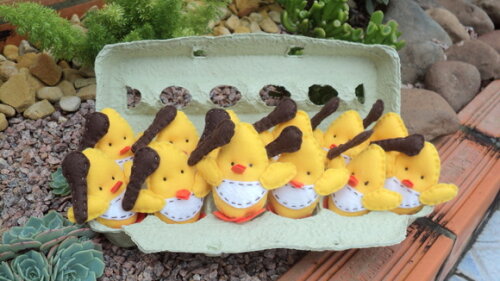 Pintinhos na Caixa de Ovos