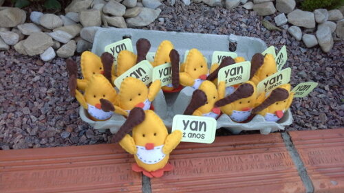 Pintinhos na Caixa de Ovos
