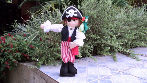 Pirata e Papagaio