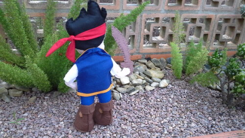 Pirata Jake em Feltro