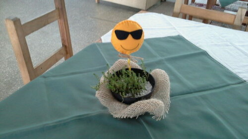 Pirulito Emoji Óculos de Sol de Feltro