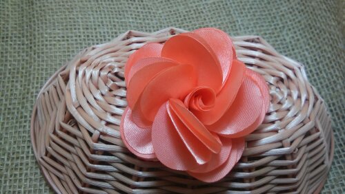 Presilha hairclips Chara pessego