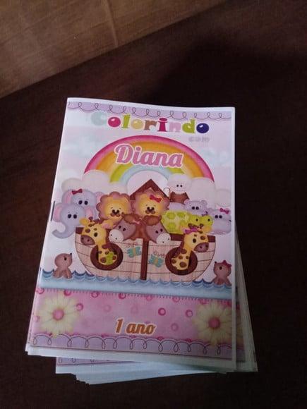 Livro Colorir Arca de Noé Menina
