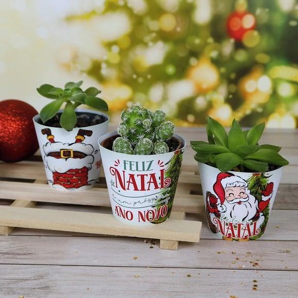 Rótulo para Suculenta Natal
