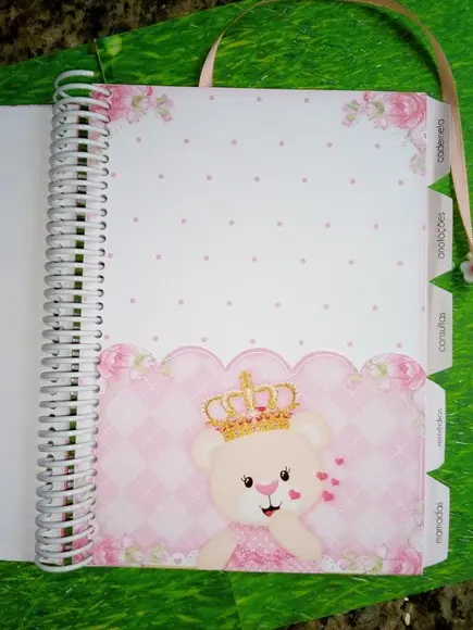Caderneta de Vacinação Ursinha Princesa