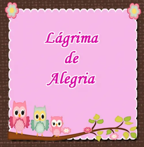 Lágrimas de Alegria