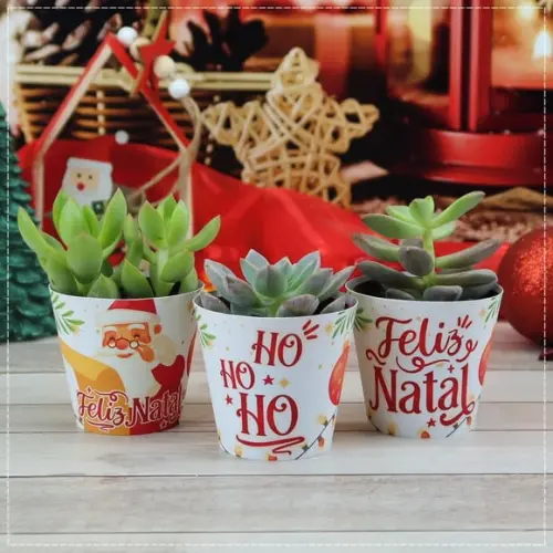 Rótulo para Suculenta Natal