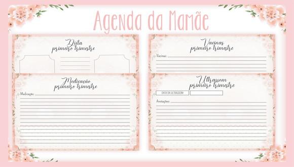 Arquivo Digital Álbum da Gestante