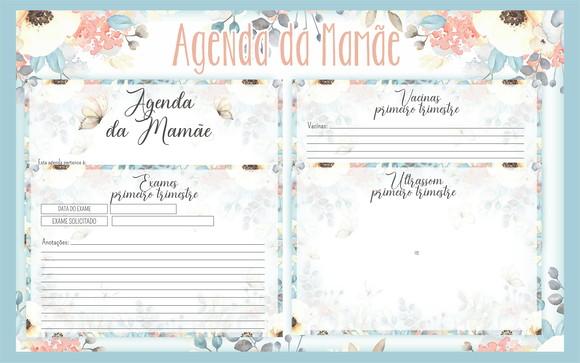 Arquivo Digital Álbum da Gestante
