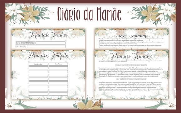 Arquivo Digital Diário da Gestante