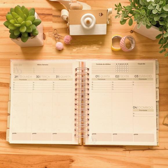 Arquivo Digital Planner Datado 2023