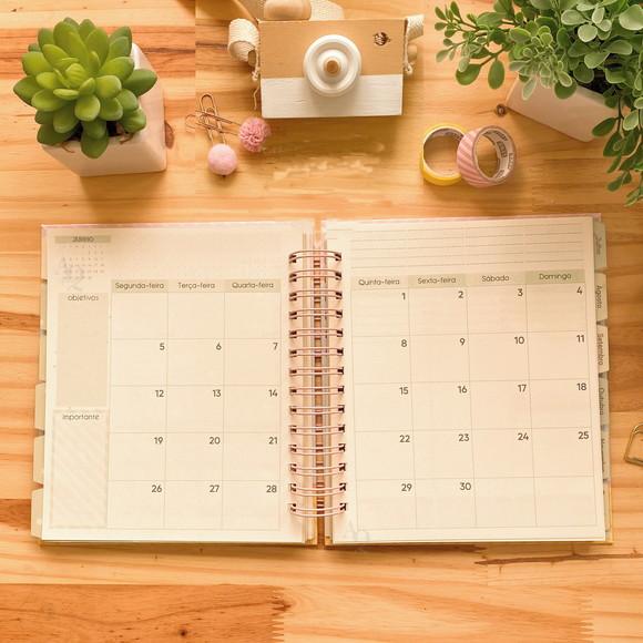 Arquivo Digital Planner Datado 2023