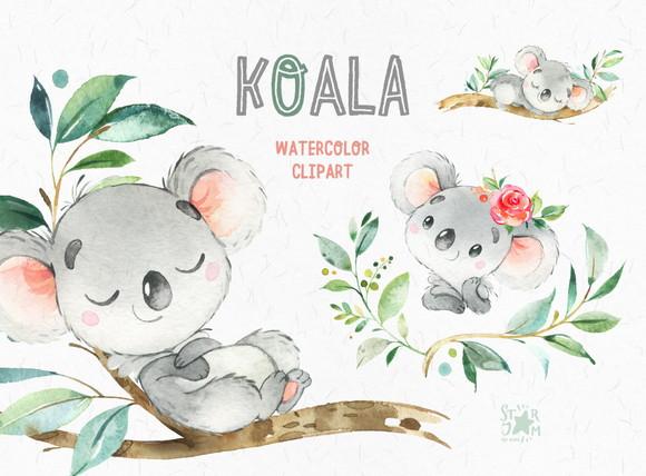 Kit Digital Koala