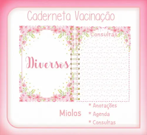 ARQUIVO DIGITAL CADERNETA VACINA LHAMA