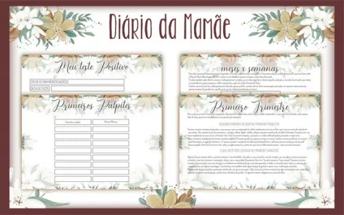 Arquivo Digital Diário da Gestante
