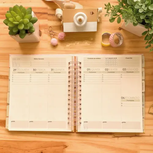 Arquivo Digital Planner Datado 2023