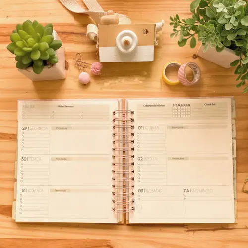 Arquivo Digital Planner Datado 2023