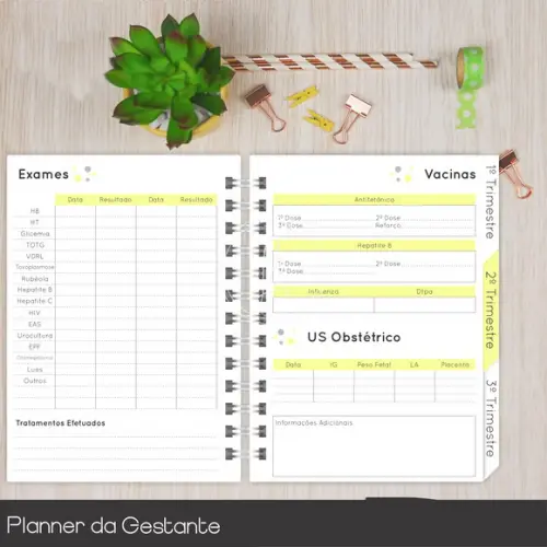 Arquivo Digital Planner Gestante