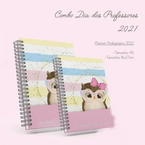 Arquivo Digital Planner Professor