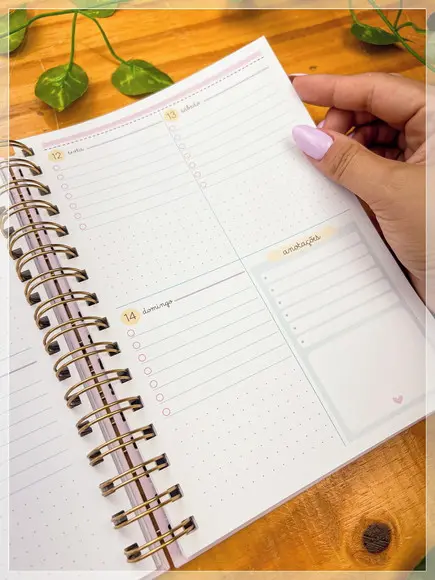 Arquivo Digital Planner Professor 2024