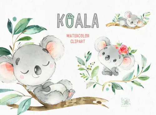 Kit Digital Koala