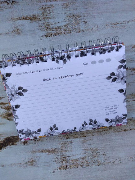 CADERNO DA GRATIDÃO
