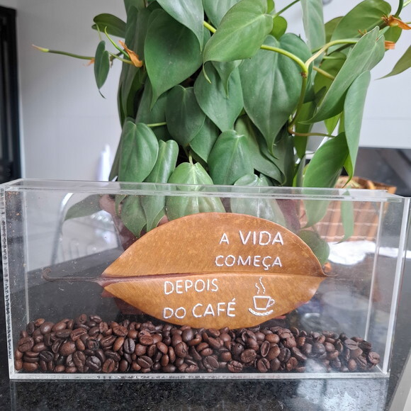 com Cx m - a Vida Começa Depois do Café