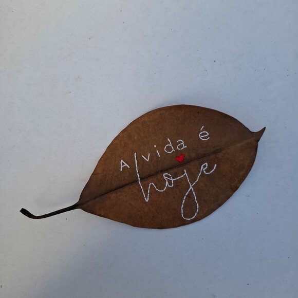Frase - a Vida É Hoje