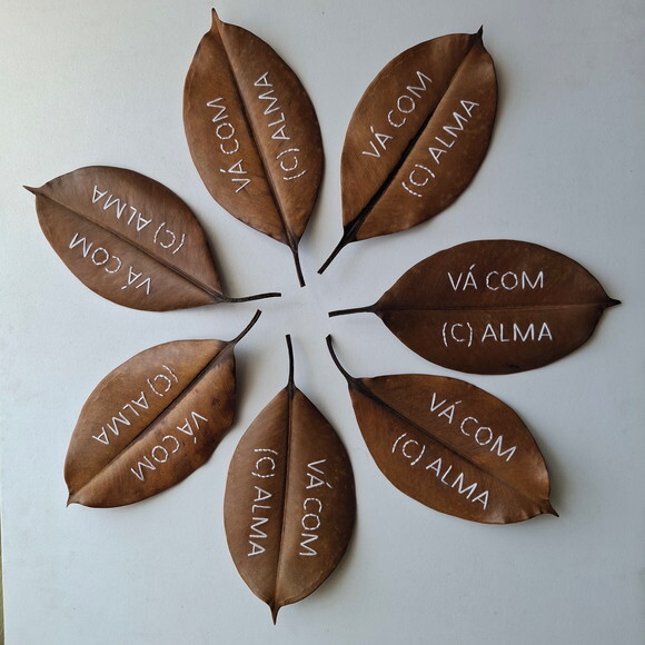 Frase - Vai com (c)alma